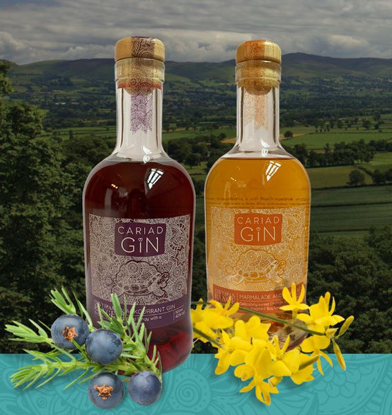 North Wales is the place for outstanding gin! | Clwydian Range Distillery
