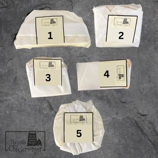 5 type of cheese for subscription box