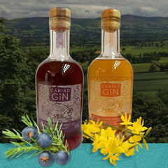 Cariad Blackcurrant Gin – Welsh Artisan Gin